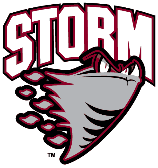 Guelph Storm 1995-pres primary logo iron on heat transfer